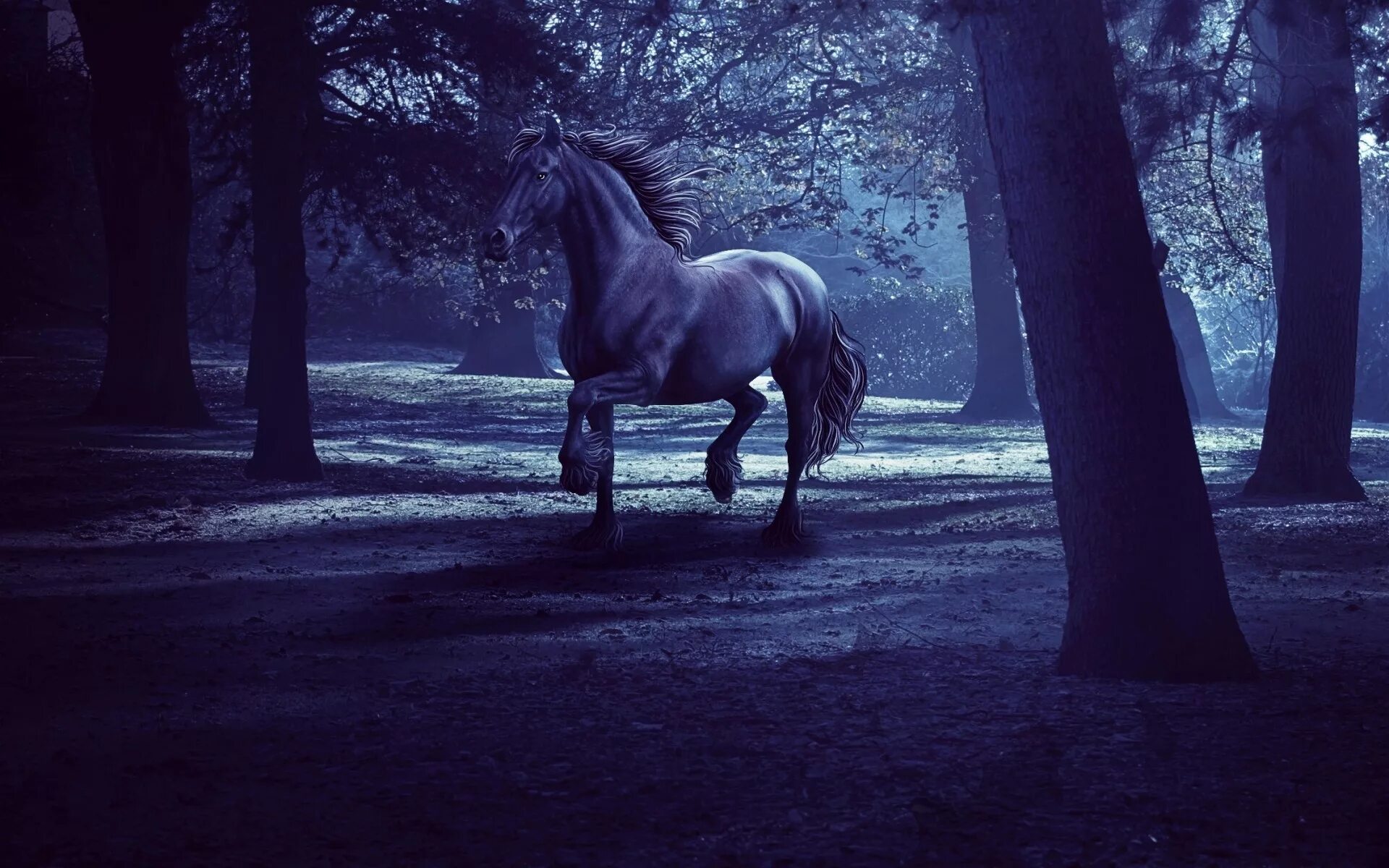 Лошадь в темноте. Лошадь на темном фоне. Лошадь на фоне леса. Конь в темноте. Конь ночью.