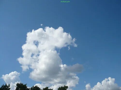 Free Images : cloud, summer, daytime, cumulus, clean, blue sky, skies, scene, cl
