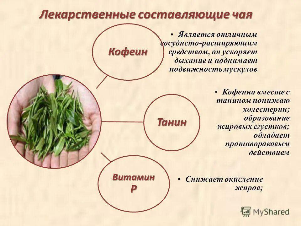 Химические лекарственные препараты. Составляющие лекарственного препарата. Понятие о лекарственном препарате. Номенклатура в фармакологии это. Референтный и оригинальный препарат.
