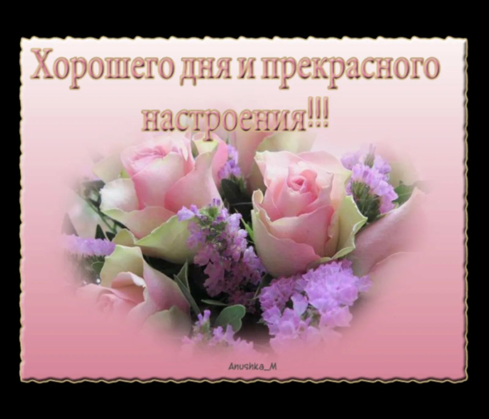 Картинки приятного дня и отличного. Прекрасного дня и отличного настроения. поздравление с хорошим днем. хорошего дня и настроения. пожелания прекрасного дня и хорошего настроения.