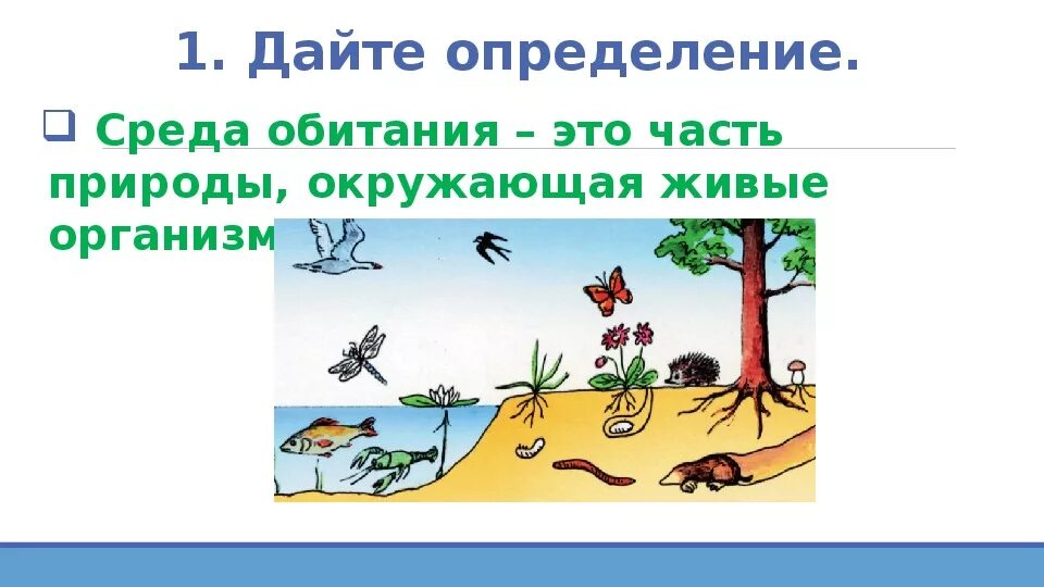 Среды обитания организмов. Среда обитания это в биологии. Три среды обитания. Среды обитания 5 класс.