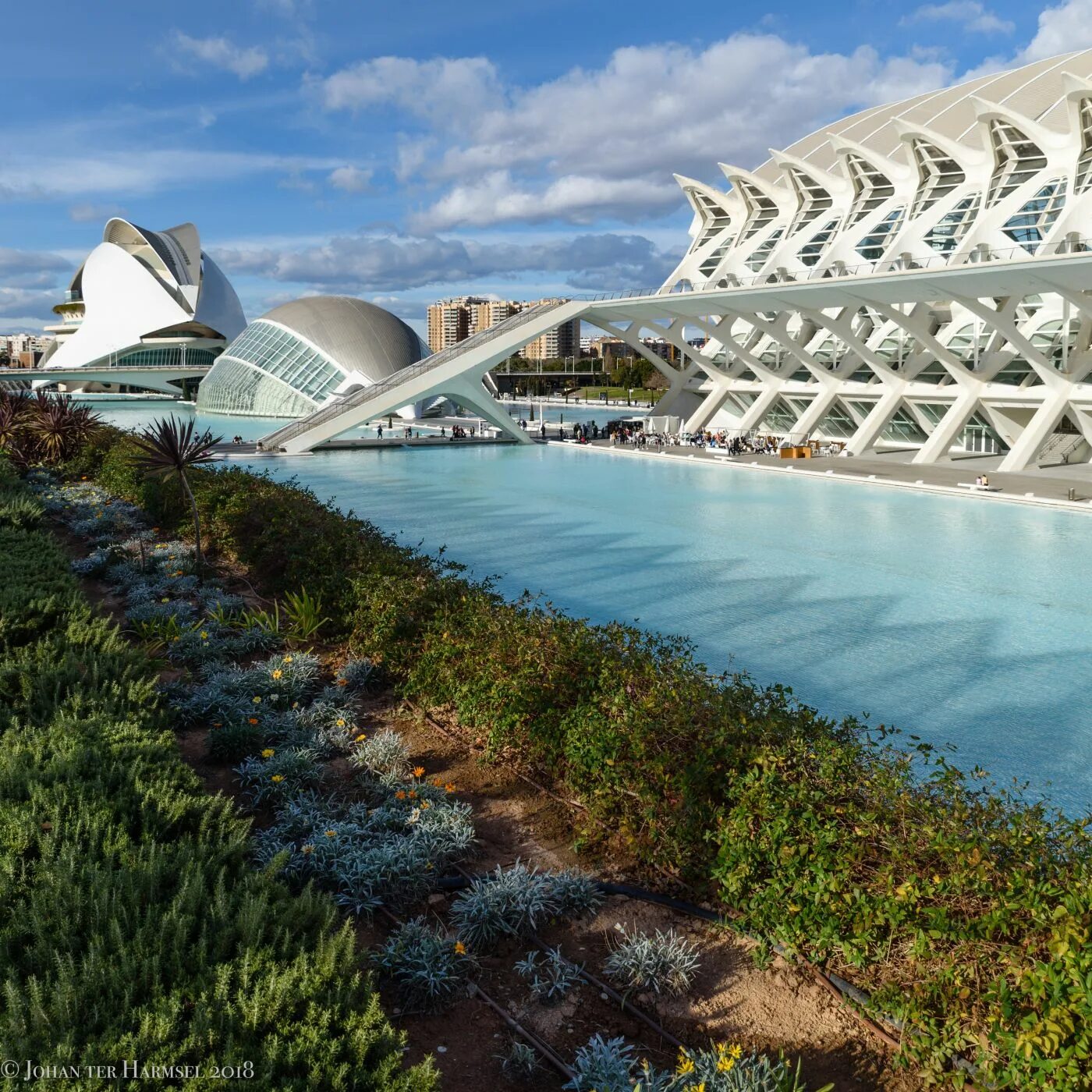 De las artes. Ciudad de las Artes y las ciencias de Valencia чертеж. Ciudad de las Artes y ciencias внутри.