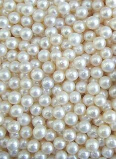 Hot pearl 2024