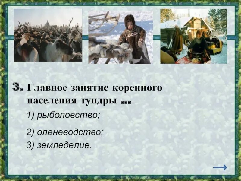 Главное занятие коренного населения тундры. Основное занятие населения. Главное занятие коренных жителей тундры. Основное занятие коренных жителей тундры.