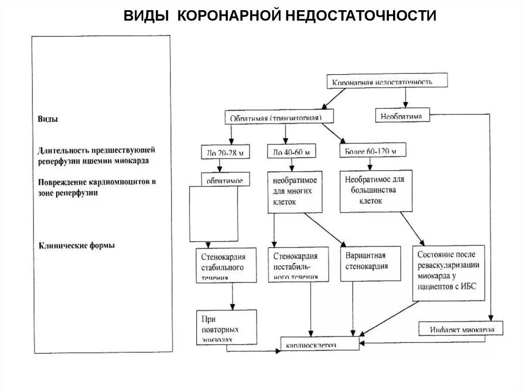 Виды коронарной недостаточности. Острая сердечно-сосудистая недостаточность классификация. Острая коронарная недостаточность причины. Механизмы формирования коронарной недостаточности. Некоронарогенные факторы коронарной недостаточности.