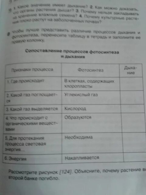 Составьте в тетради таблицу сопоставление богов. Заполните таблицу сопоставление процессов фотосинтеза и дыхания. Таблица сравнительная таблица процессов фотосинтеза и дыхания. Таблица сравнение процессов фотосинтеза и дыхания. Таблица признаки процесса фотосинтез.