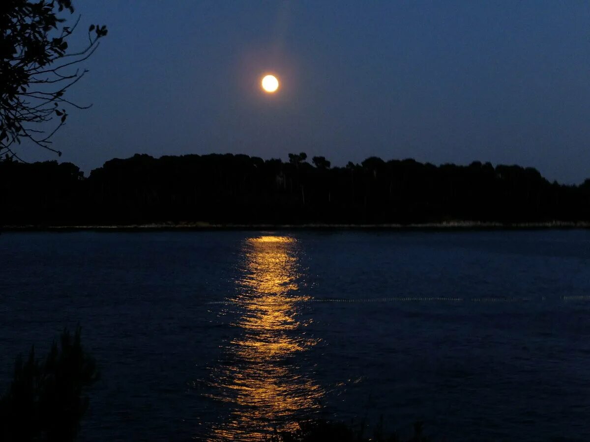 Летняя ночь. Ночь Луна река. Река ночью. Озеро в лунном свете. Луна озера ночи