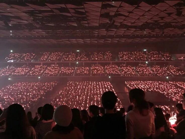 Big ocean kpop. Red Velvet Concert. Red Velvet лайтстик на концерте. Pop Concerts are interesting. Lightsticks kpop Ocean.