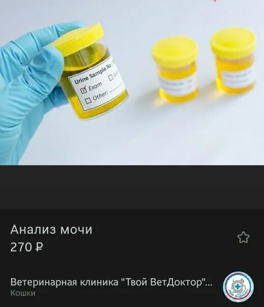 В течении какого времени сдают мочу