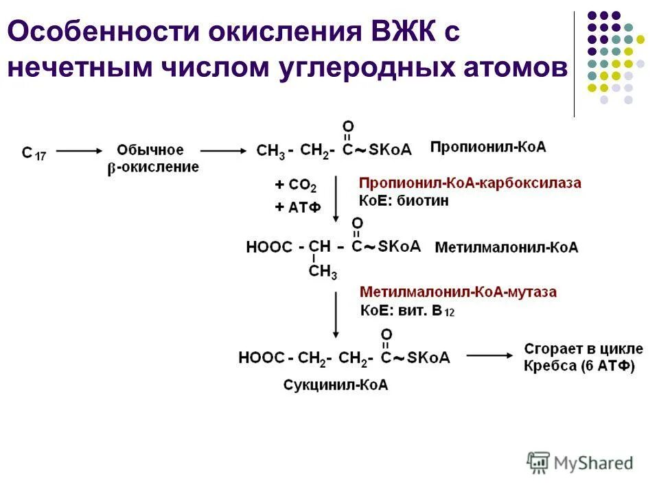 Глицерин атф