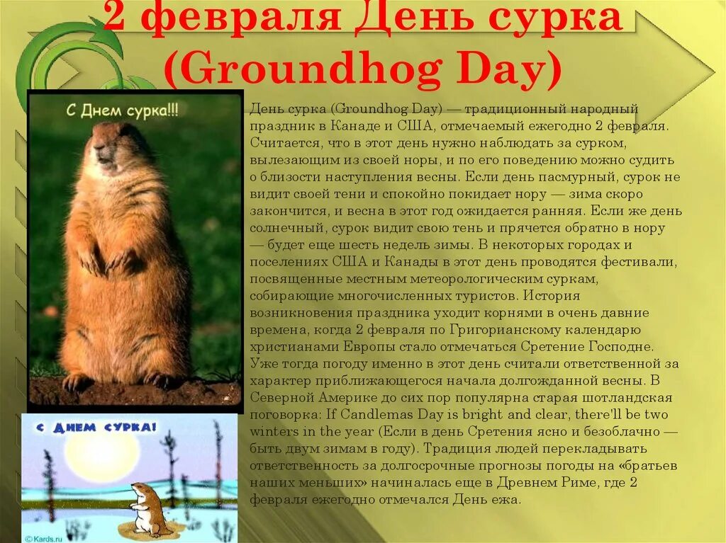 день сурка. 2 февраля день сурка. день сурка день. день сурка выражение что означает. день сурка выражение что означает.