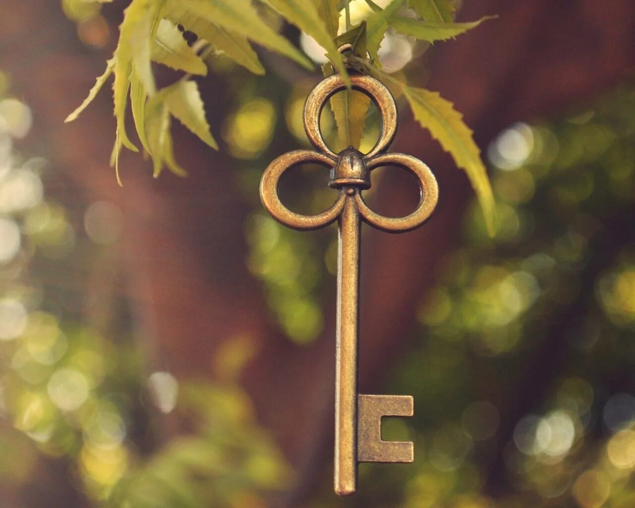 Воскресный ключ. Красивые ключи. Дерево с ключиками. Красивый ключик. Волшебный ключ.