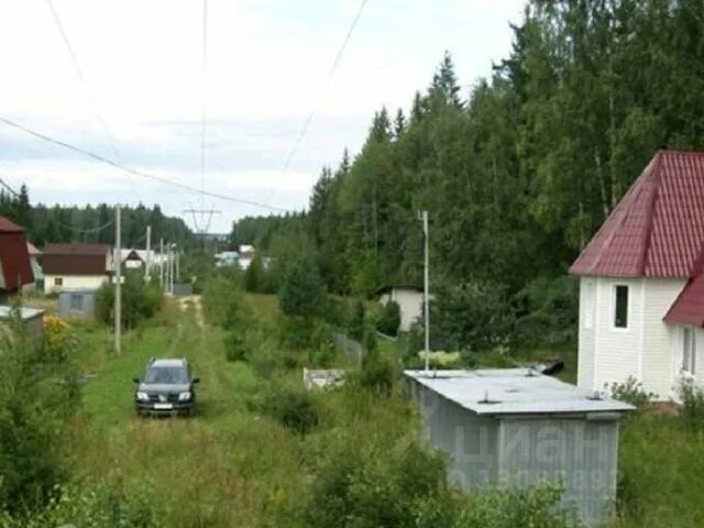 Орешки рузский. Орешки рузский. Орешки. Деревня орешки московская область. Деревня орешки московская область.