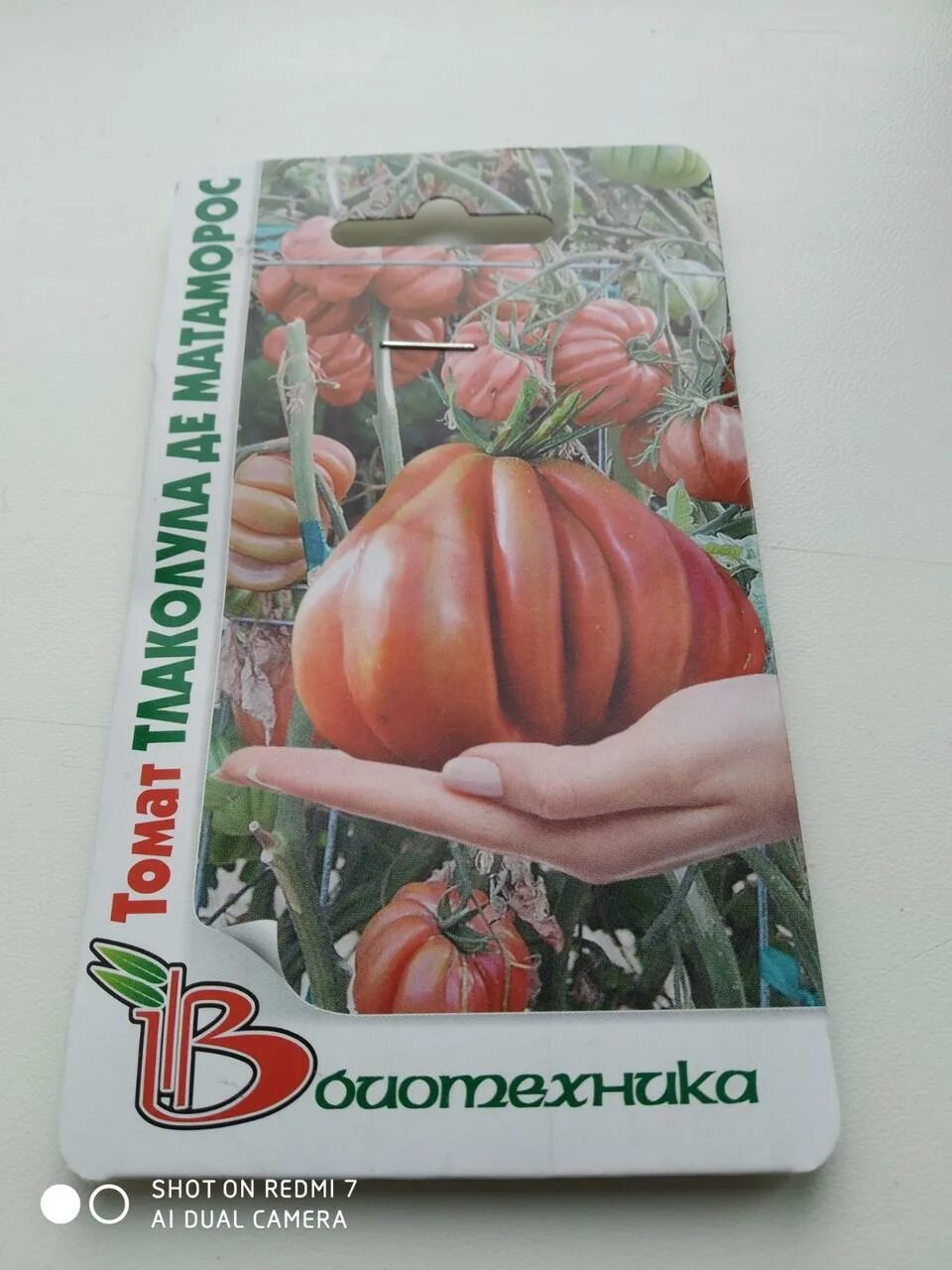 томат зимняя вишня отзывы. томат зимние отзывы. томат зимняя вишня f1. черри зимняя вишня партнер. томат зимняя вишня отзывы.