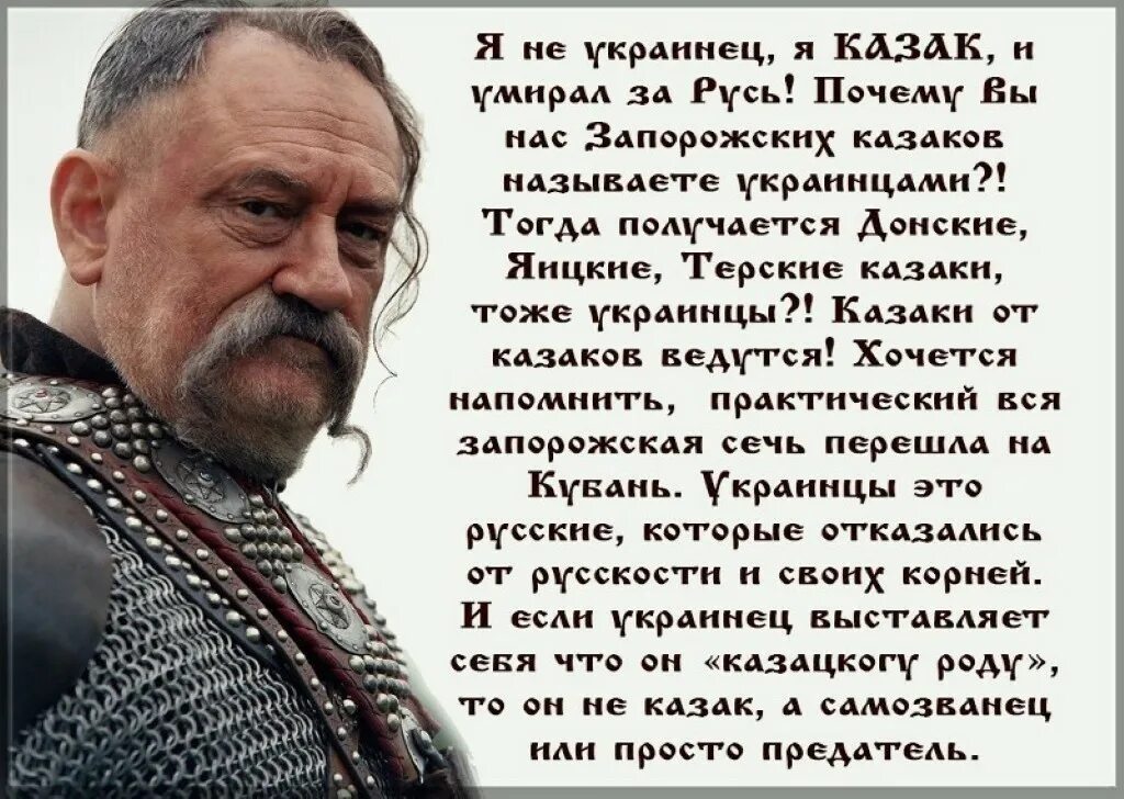 История хохла. Цитаты про украинцев. Украинцы не казаки. Высказывания запорожских Казаков. Казаки это украинцы или русские.