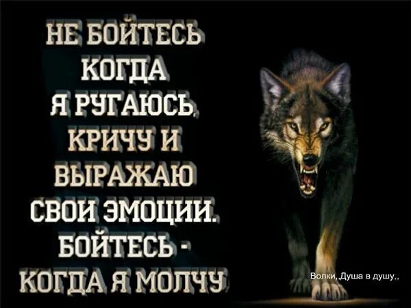 Бойся молчания. Бойся гнева терпеливого. Бойтесь когда я молчу. Волки душа волка. Страшен молчащий в гневе.