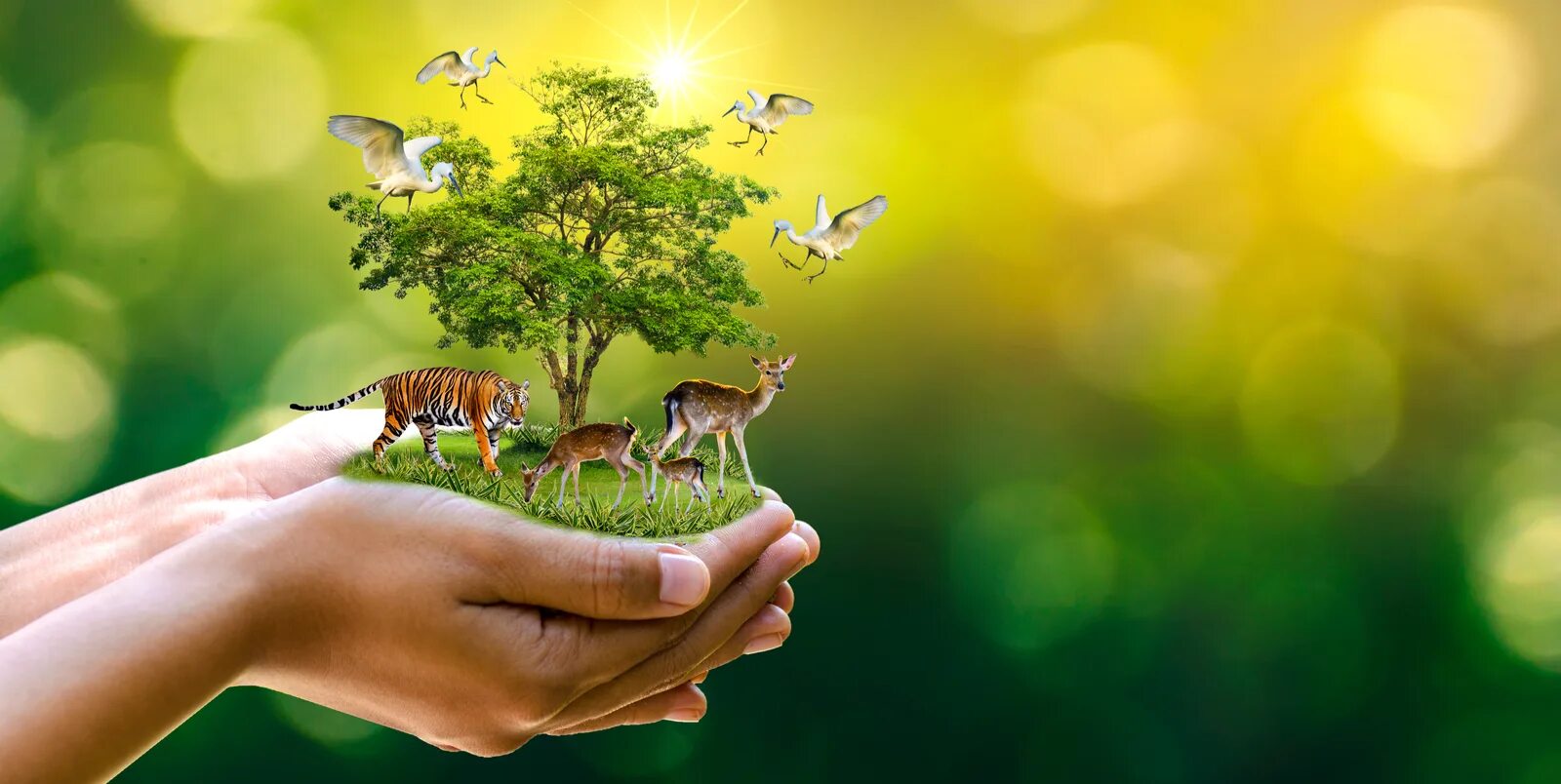 Protecting our environment