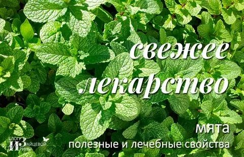Сминать траву как пишется