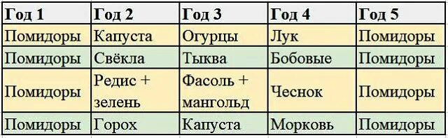 Что посадить после помидор