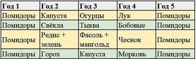 Что можно садить после помидор