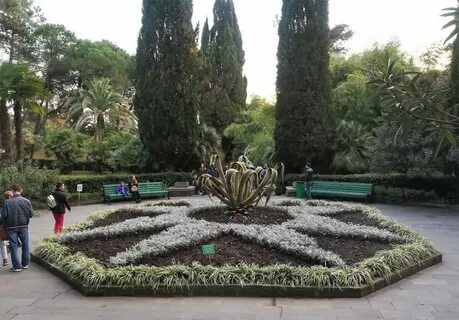 От дендрария до сочи парка