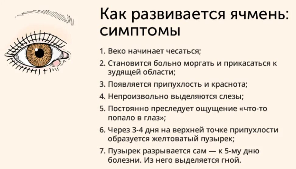 Почему выйдите через и. Ячмень на глазу стадии развития. Почему появляется ячмень на глазу. Как вылечить ячмень на глазу у ребенка.