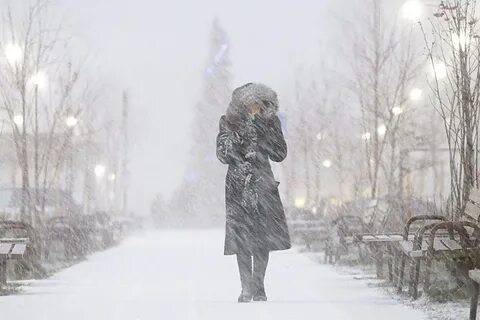 Зимний ветер какой