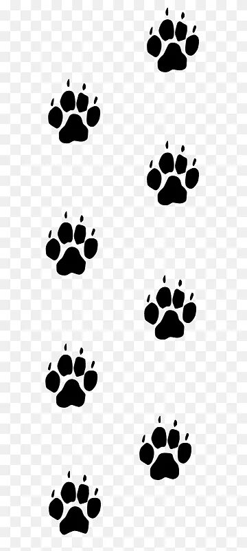 40 лапок. Отпечаток лапки собаки. Отпечаток следа собаки. Отпечаток лапы кошки. Отпечаток кошачьей лапки.