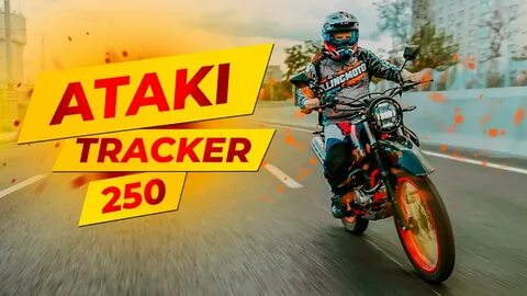 Ataki tourist 300