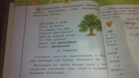 Выпиши из текста 4 слова