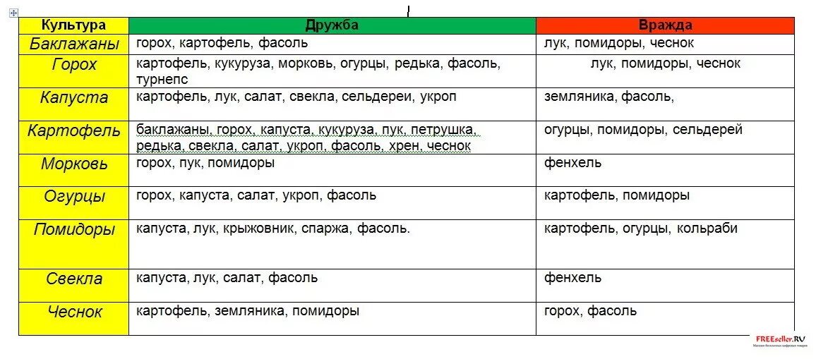 Что после чего можно садить. Что можно посадить после чего. Культуры что садить после чего. После чего сажать помидоры. После чего посадить огурцы на следующий год