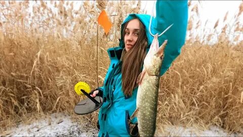 Какую рыбу ловила таня дикая собака