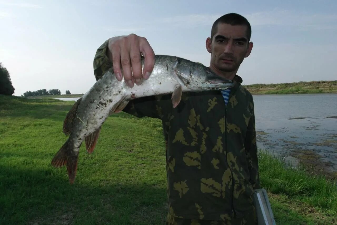 село пологое займище астраханской области. село пологое займище астраханской области. погода пологом займище астраханской. погода пологом займище астраханской. река днищево астраханская область.