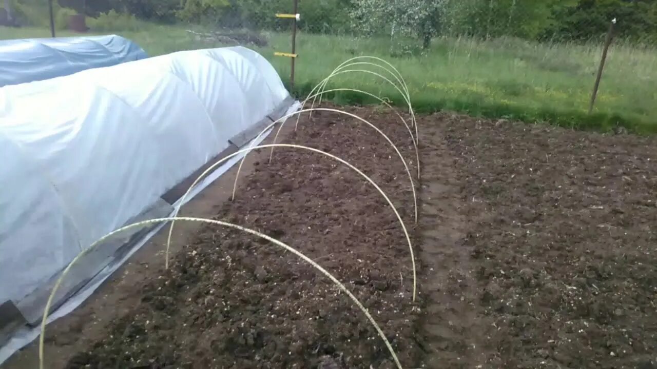 Теплица из арматуры. Шпалера из стеклоарматуры. Парник из стеклопластиковой арматуры. Дуги для парника из стеклопластиковой арматуры. Дуги для парников стеклопластик.