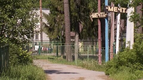 Лагерь ленинградская область peremena садовая