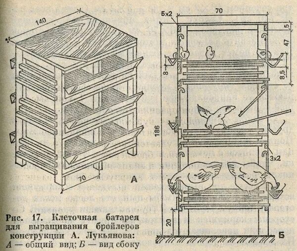 Размер клетки для 10 бройлеров. Чертеж клетки для кур бройлеров. Схема клетки на 10 бройлеров. Размеры клеток для бройлеров чертежи.