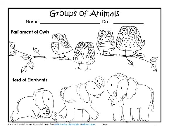 Write the names of the animals. Animal groups. names of groups of animals. parliament of owls. animal groups in english.
