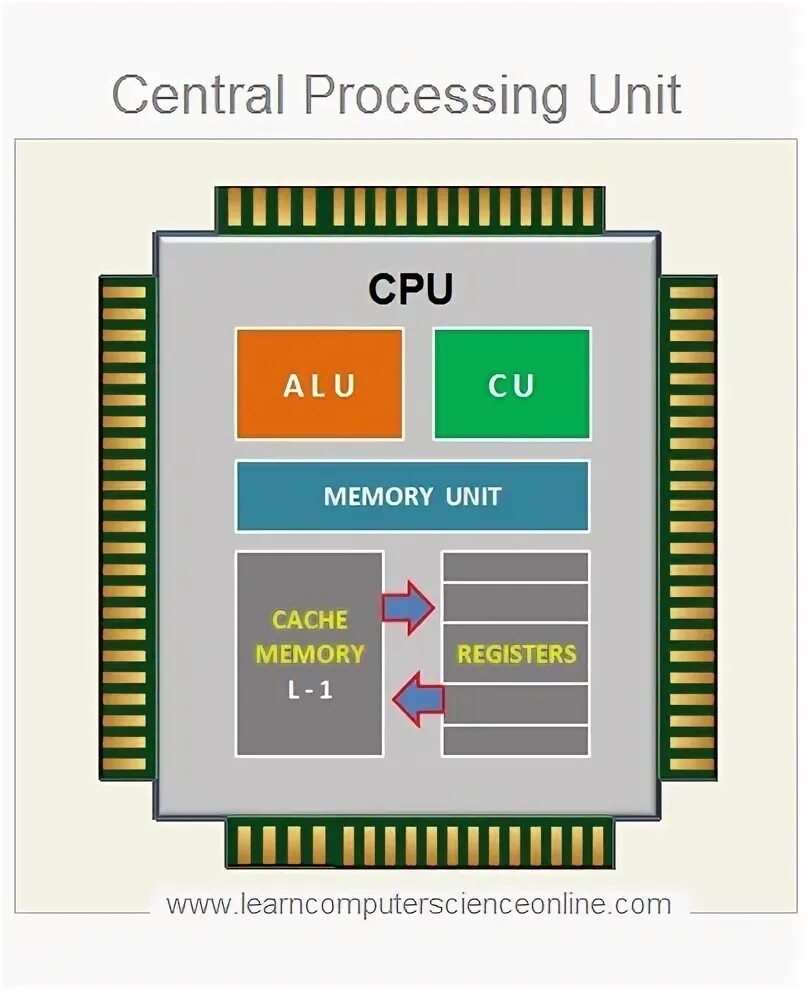 Process процессор. CPU Alu. Alu в процессоре это. CPU Central processing Unit. Central Unit это.