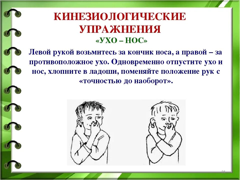 Кинезиологические упражнения для детей дошкольного возраста. Кинезиологические упражнения для младших школьников. Кинезиологические упражнения ухо нос. Упражнения по кинезиологии для дошкольников.