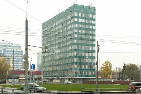 Бц авиатор