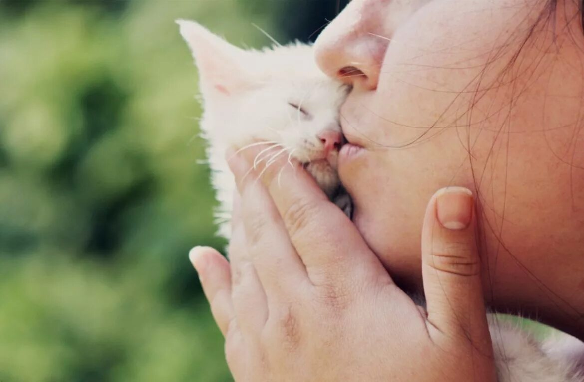 Ласка и кот. Девочка обнимает котика. котик на руках. девушка обнимает котенка. девочка обнимает котенка.