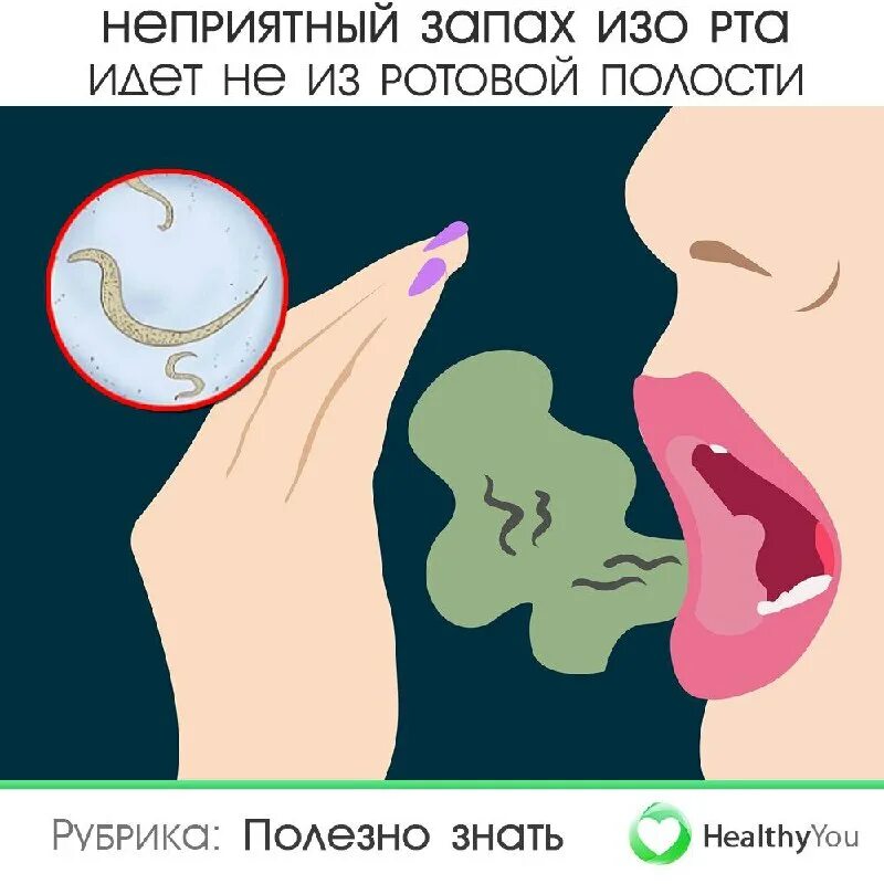 Тухлый запах изо рта у взрослого. Неприятный запах изо рта. Избавляемся от запаха изо рта. Причины появления запаха изо рта.