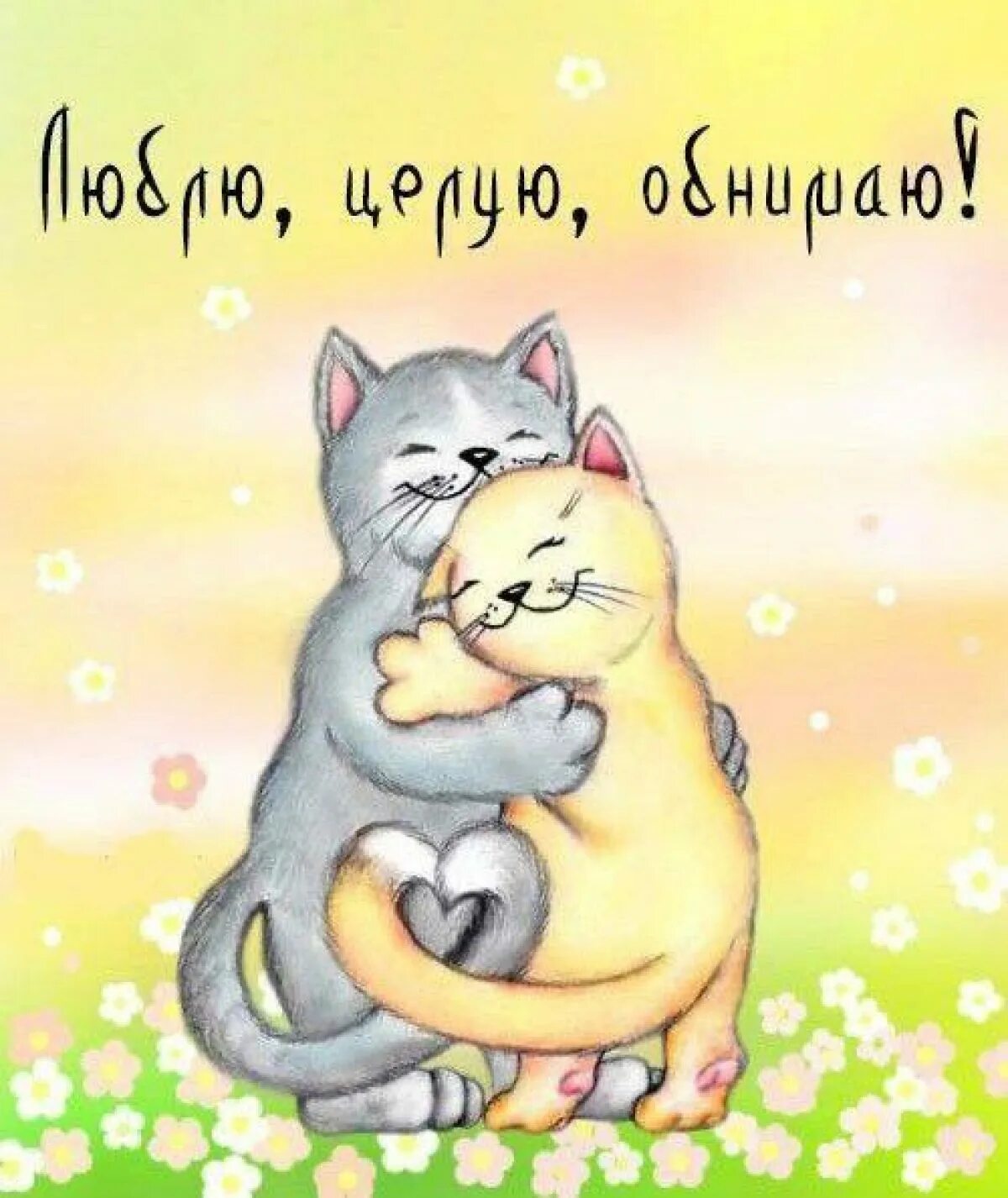 Обнимаю целую что это значит. Открытка обнимаю. обнимаю крепко. котики обнимаются. влюбленные кошки.