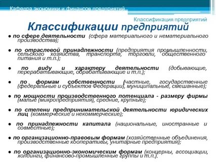Характеристика предприятия по сфере деятельности