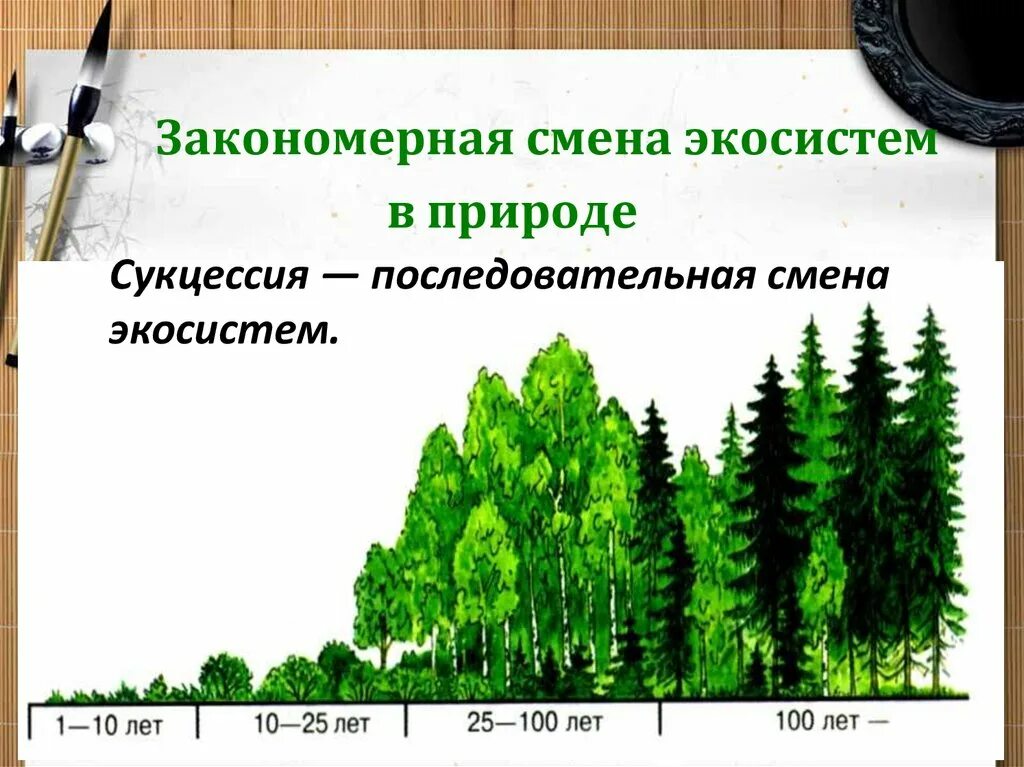 Выберите пример смены экосистемы. Смена экосистем. Смена биогеоценоза. Причины изменения экосистемы. Причины смены экосистем.