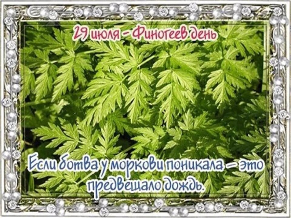29 июля день чего. 29 июля народный календарь. 29 июля народные приметы. 29 июля праздник. 29 июля афиногенов день.