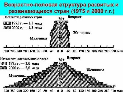 Половая структура