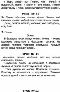 У веры жил кот пушок диктант 2