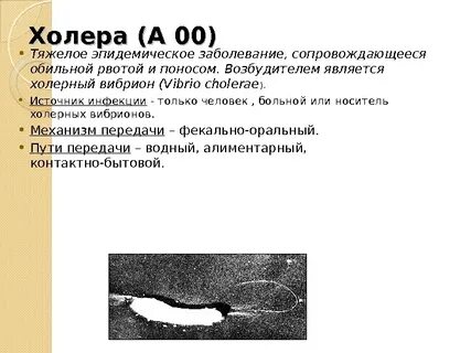Возбудителем холеры является
