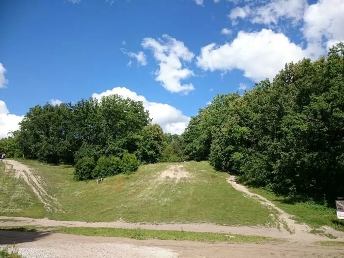 Пионерская горка Динамо. Пионерская горка Воронеж Динамо. Горки на Динамо Воронеж. Горка на Динамо Воронеж.